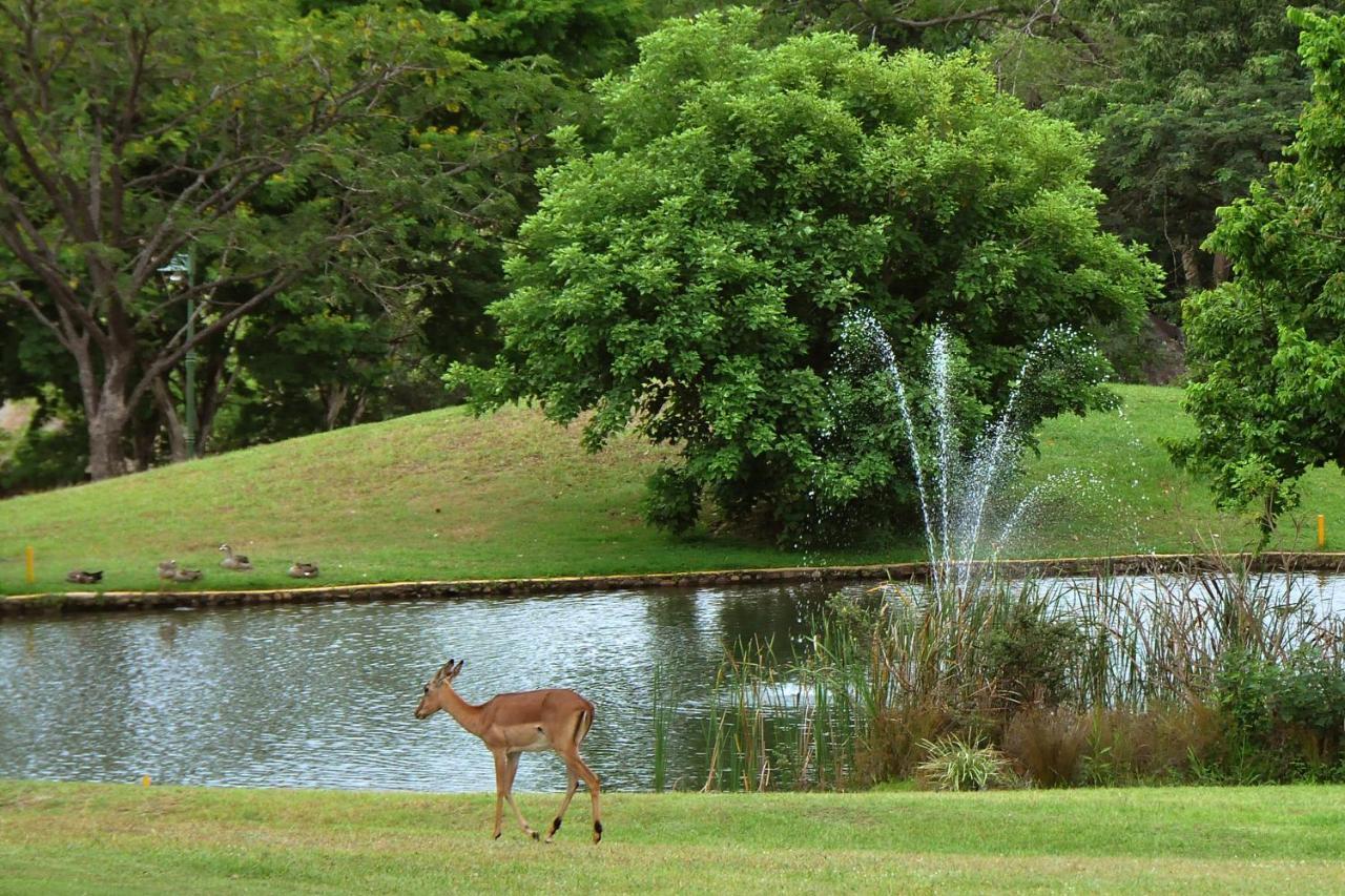 Kruger Park Lodge Unit No. 610B 雾观 外观 照片